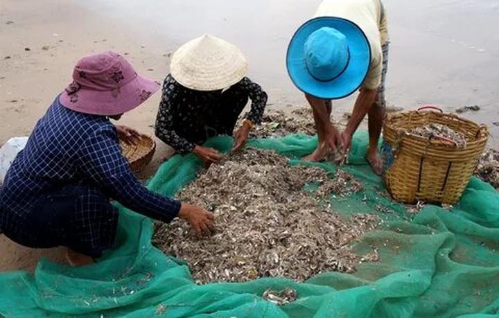 Trong một đoạn video diễn hài gần đây, Bi Béo- con trai của NSND, Cục trưởng