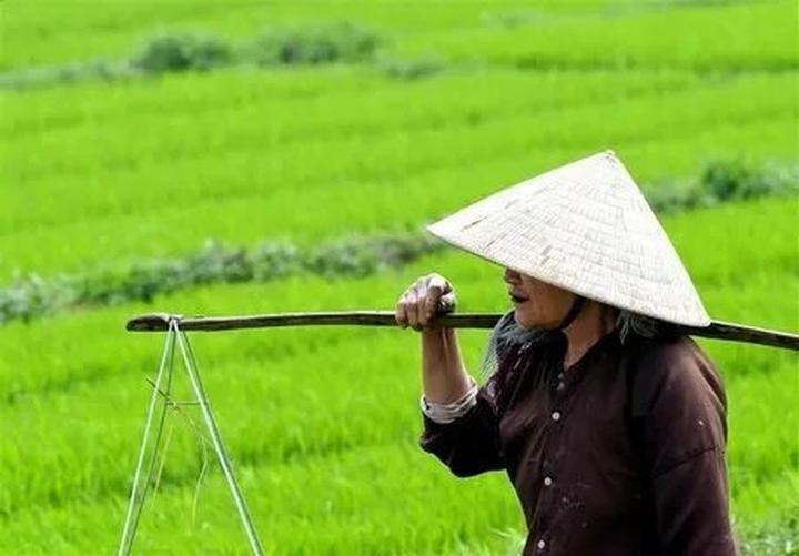 1. Tiêu đề: [Hotspot Matrix] Những cú trở ngại trở thành 